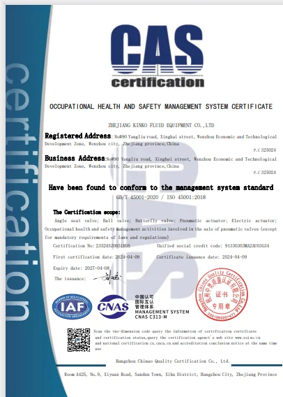 ISO 45001 Occupational Health and Safety